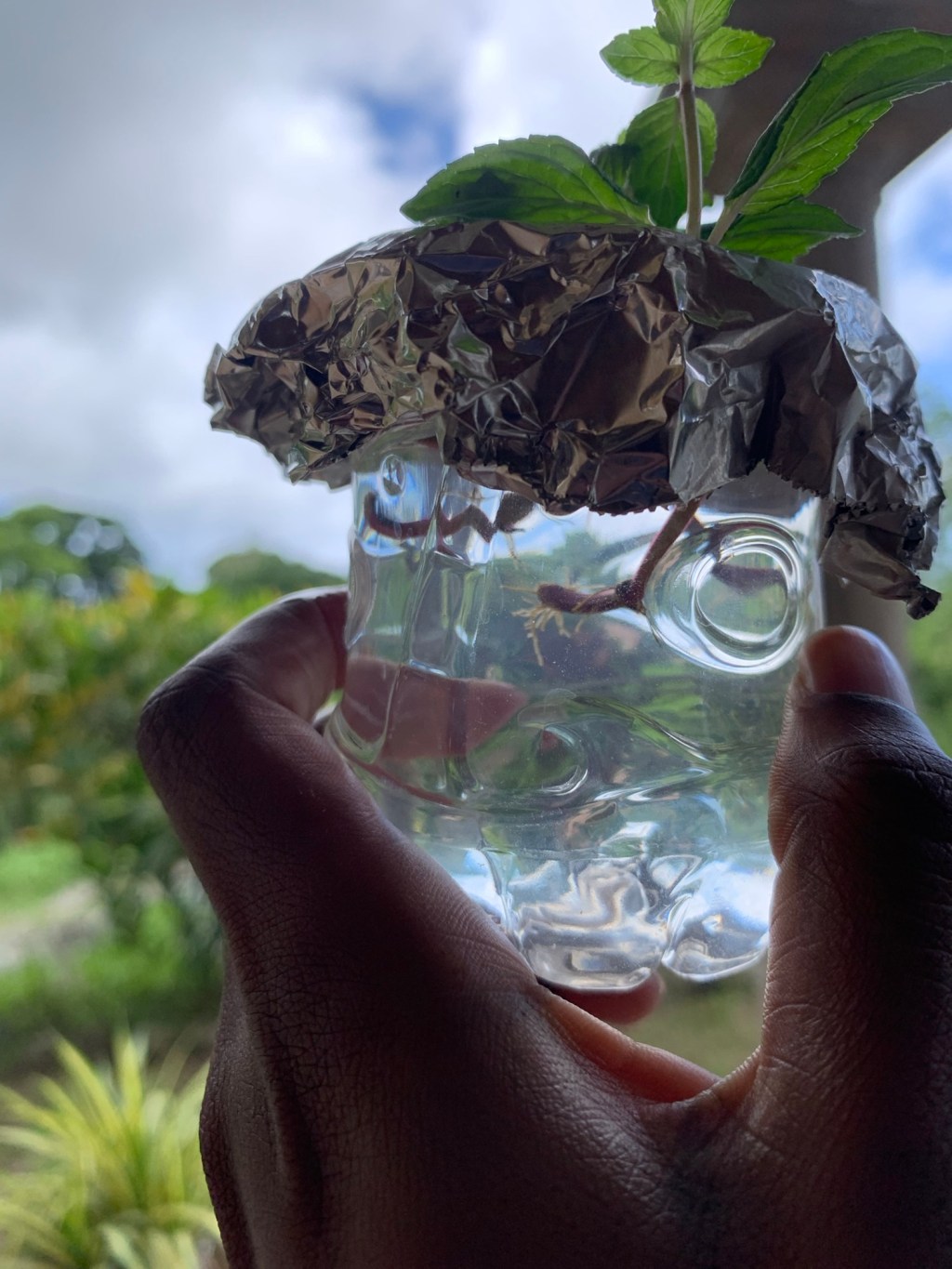 Just Add Water– Mint Propagation Pt. 1: The Nodes&nbsp;Know