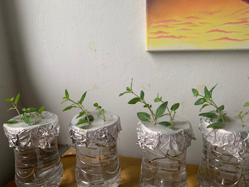 Series Summary– ‘Just Add&nbsp;Water’